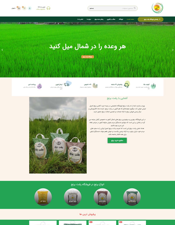طراحی سایت برنج